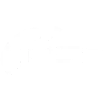 PSP Agile IT